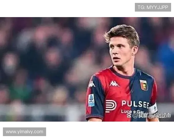 多特蒙德关注霍芬海姆前锋阿斯拉尼拜仁并不将其列为首要引援目标 多特蒙德关注霍芬海姆前锋阿斯拉尼拜仁并不将其列为首要引援目标